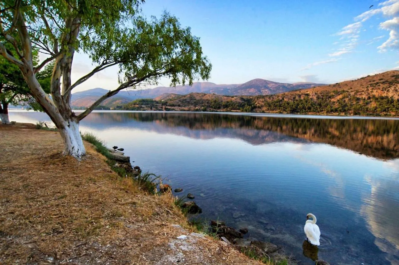 Chrysianna Seaview Apartment Argostoli