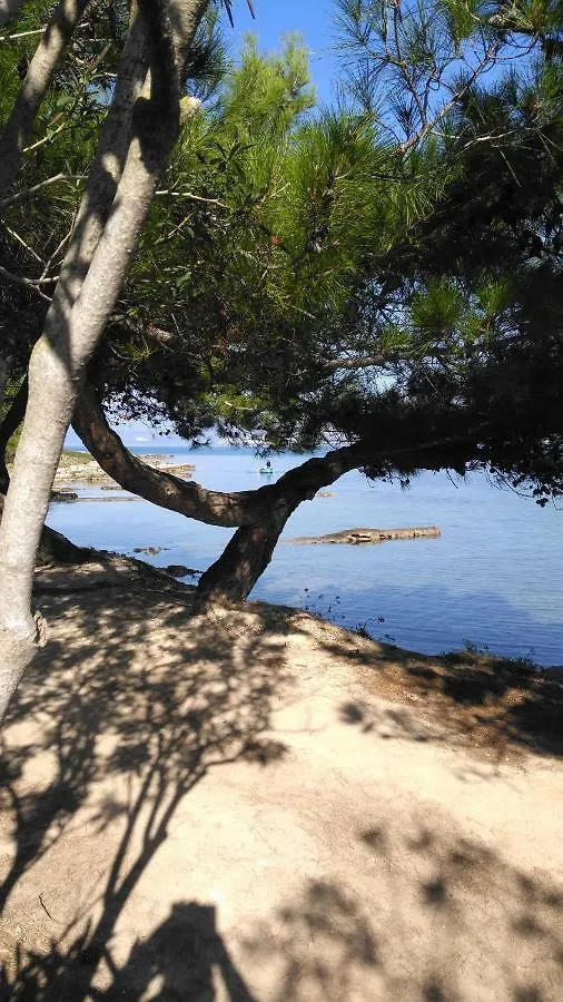 Chrysianna Seaview Apartment Argostoli  Greece